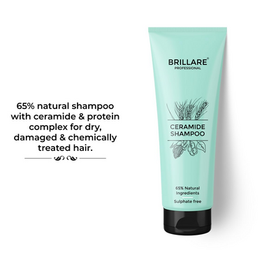 https://cdn.shopify.com/s/files/1/1857/6931/files/5bwsMpTCIH.png?v=1727776082